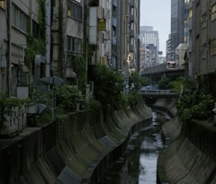 渋谷川