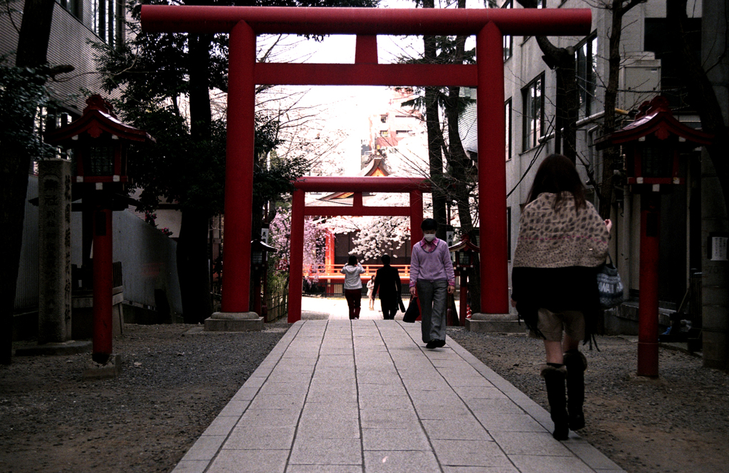 新宿花園神社