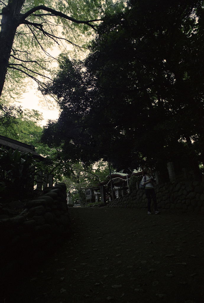 駒繋神社