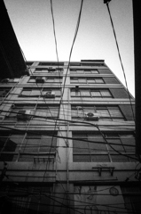 Sangenjaya-5