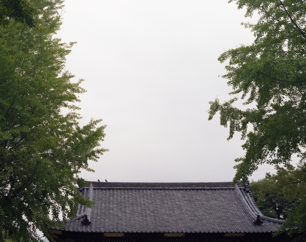 根津神社