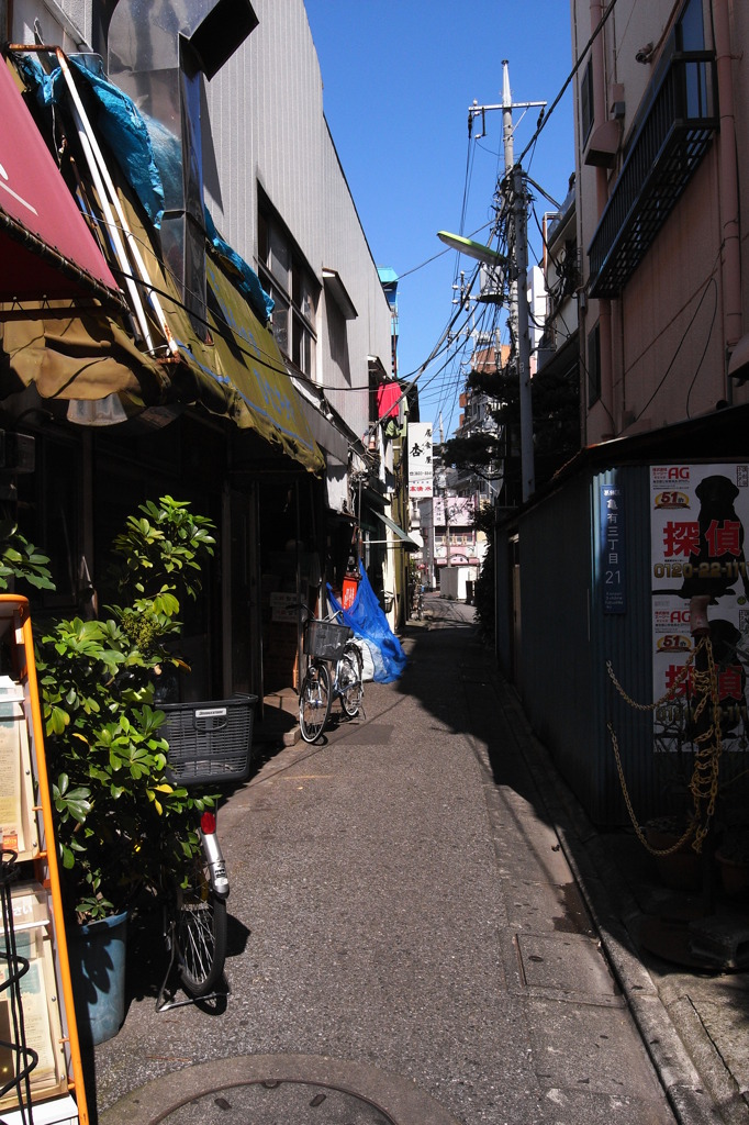 亀有