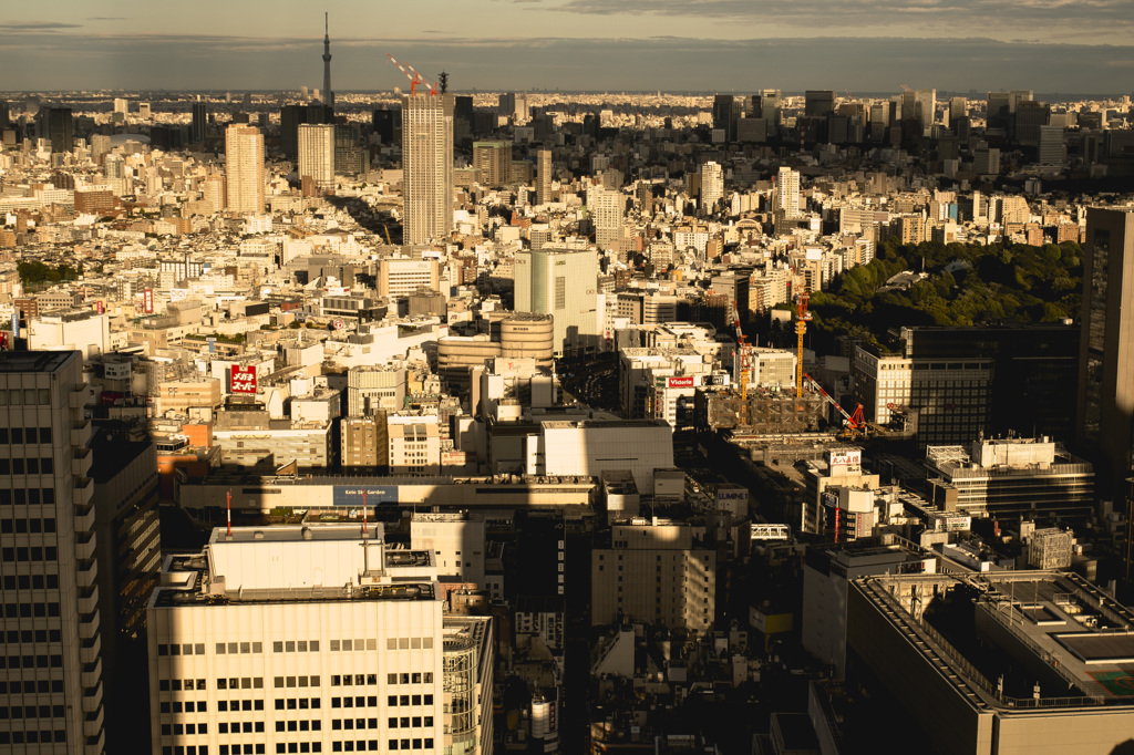 The view of Tokyo 