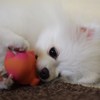 可愛いお手て♪