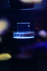 北の大地の水族館