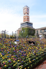 白い恋人パーク