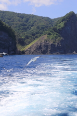 水中展望船ニューしゃこたん号7