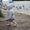 鳩を追いかける女の子