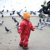 鳩ではしゃぐ女の子