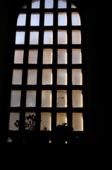IMG_3146