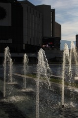 IMG_3527