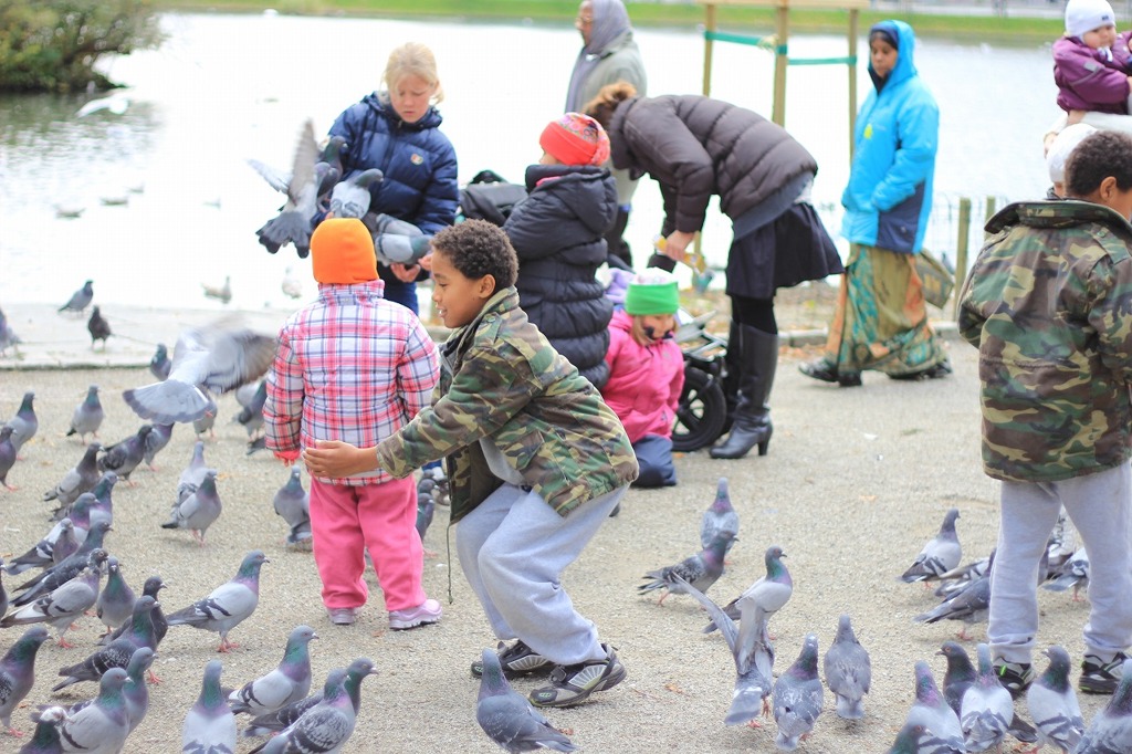 鳩を追いかける男の子