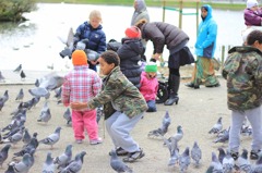 鳩を追いかける男の子