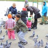 鳩を追いかける男の子