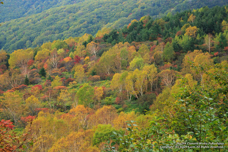 20131019_スカイライン