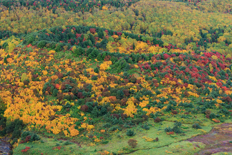 20131006-5
