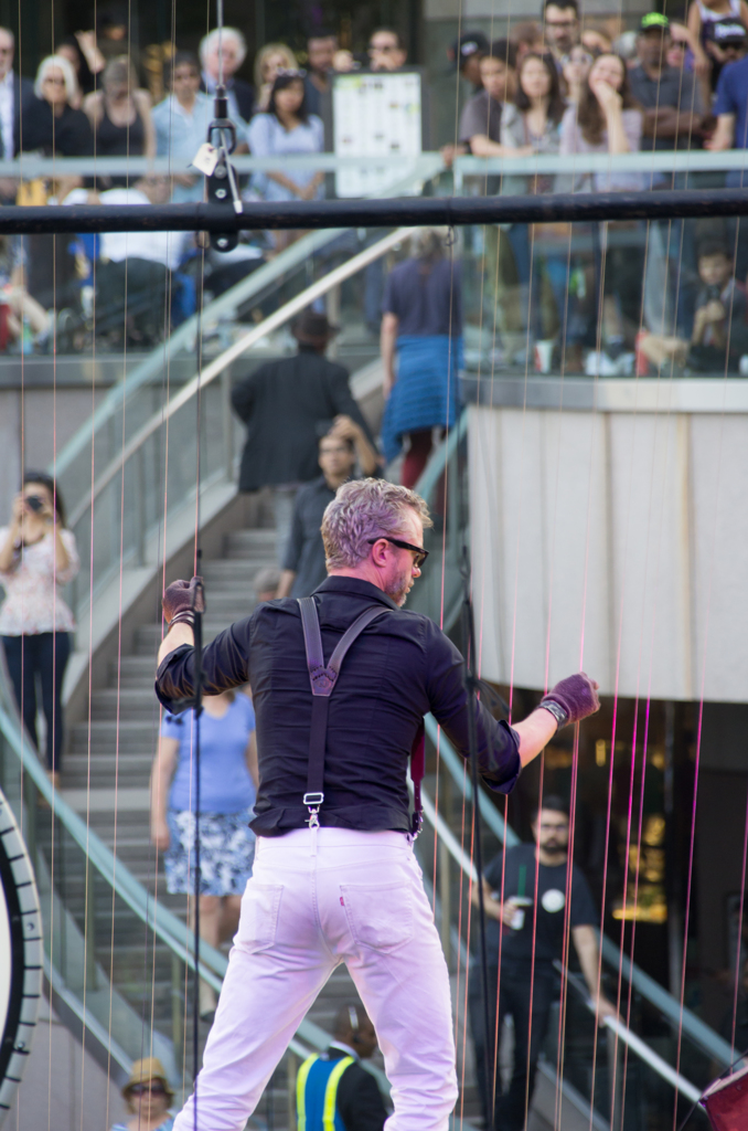 Earth Harp Show 2