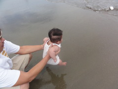 海