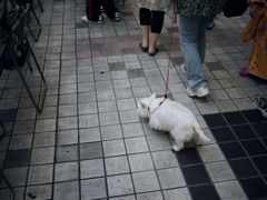 生まれた時からおじいさん