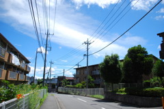 或る晴れた日。