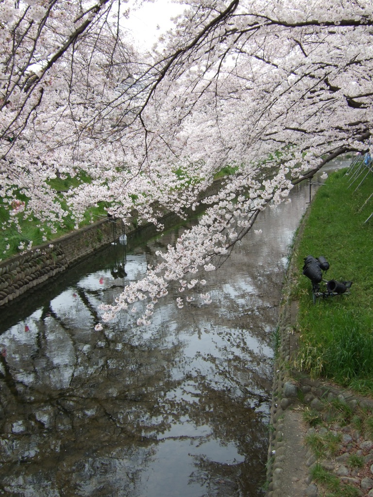 ⑯