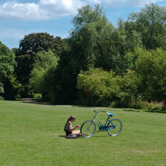 Summer Holiday