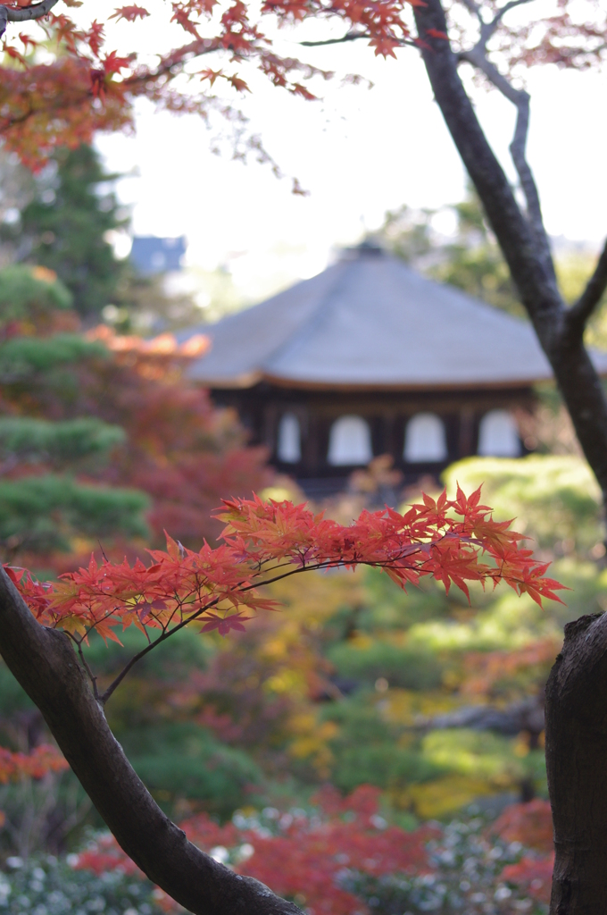 銀閣寺