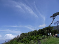 風の形 風の形
