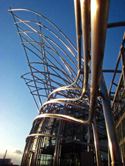 butterfly's structure