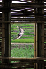 窓のある風景