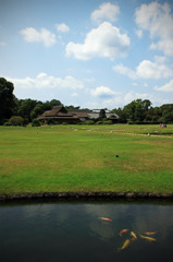 夏の庭