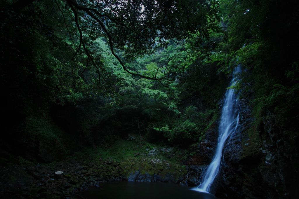 出水