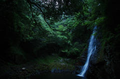 出水