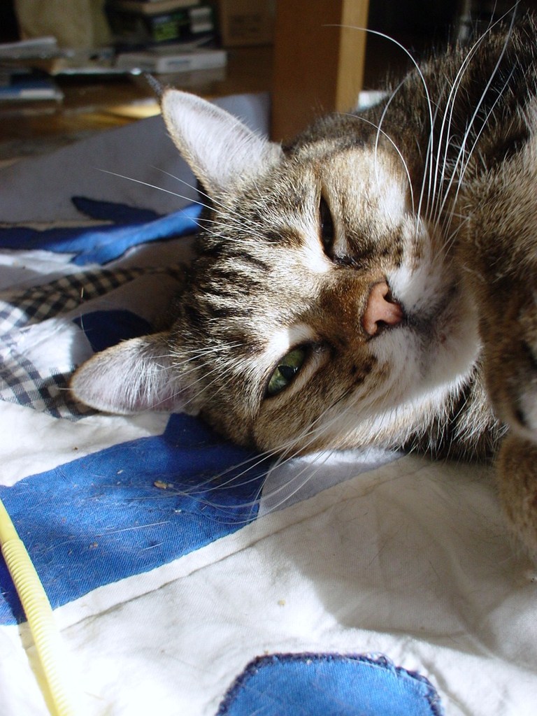 DSC04136