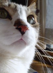 DSC04160