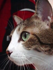DSC03826