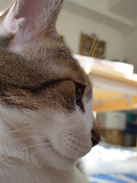 DSC04062