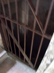 RIMG0129