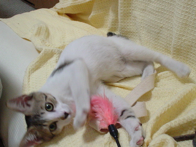 DSC00721