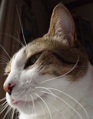 DSC04170