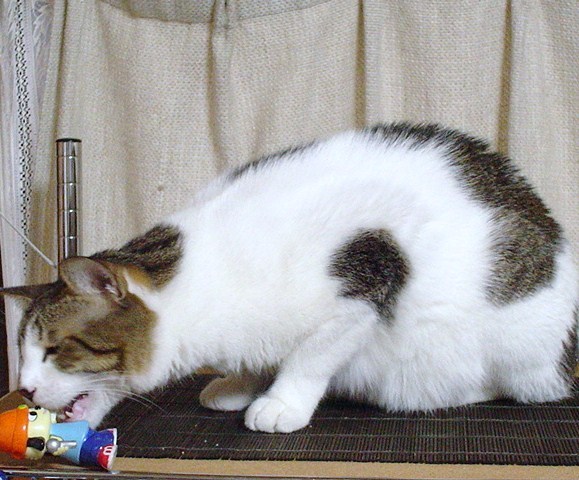 DSC01077