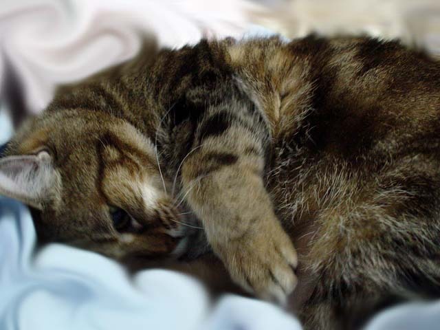 DSC02265