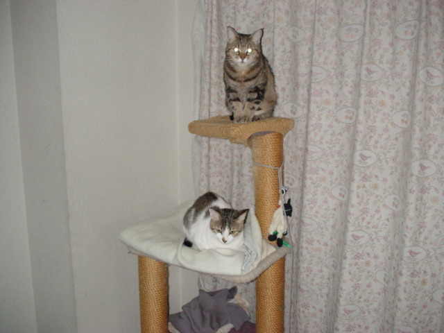 DSC00795