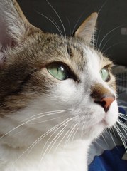 DSC04159