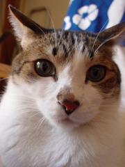 DSC02284