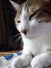 DSC04167