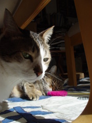 DSC04076