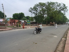 RIMG0203