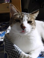 DSC04082