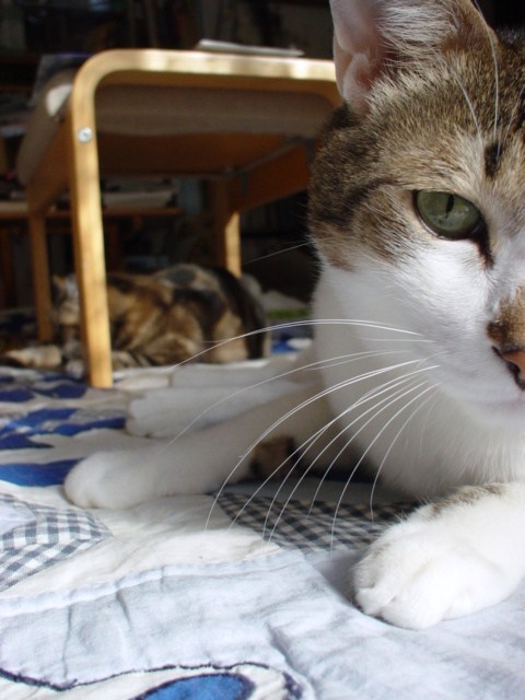 DSC04047